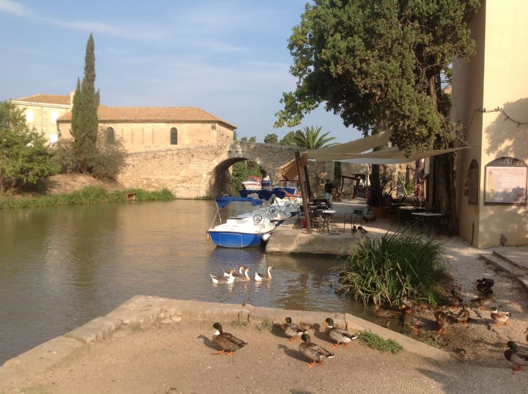 10 - Bikeurlaub - Canal du Midi
