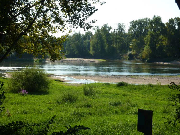 Cycle path along the Loire