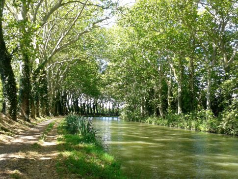 Blick auf den Canal du Midi