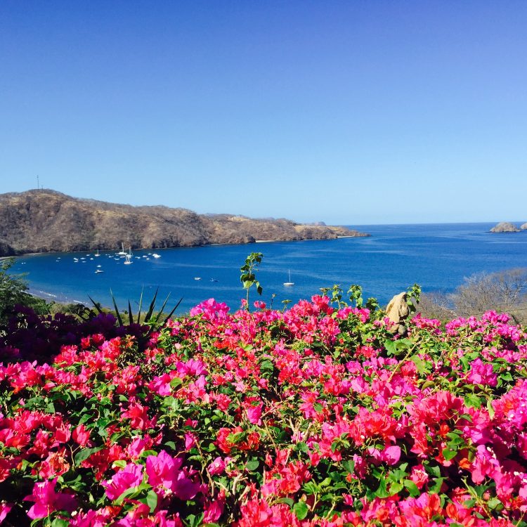 View at a colourful bay of Costa Rica