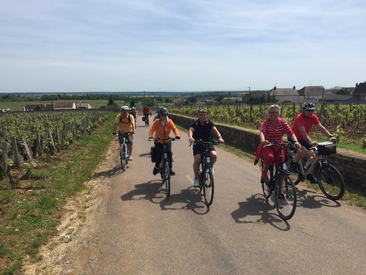 Radfahrer in den Weinbergen Côte-de-Beaune