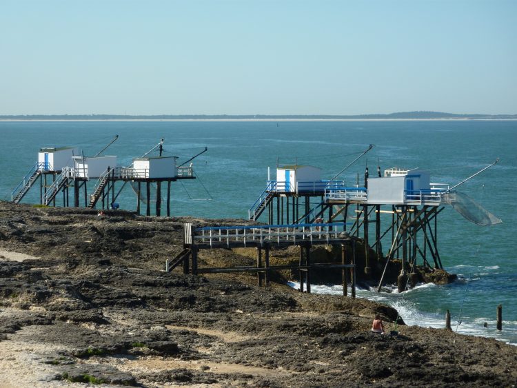 Cycle tour through the Département Gironde