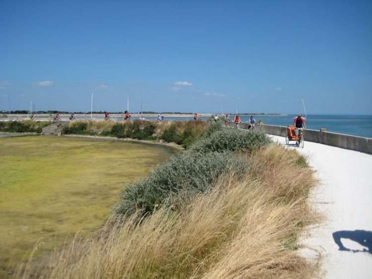 Radweg an der Küste der Ile de Ré