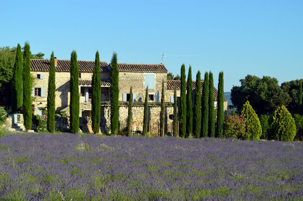 Landscape of Provence
