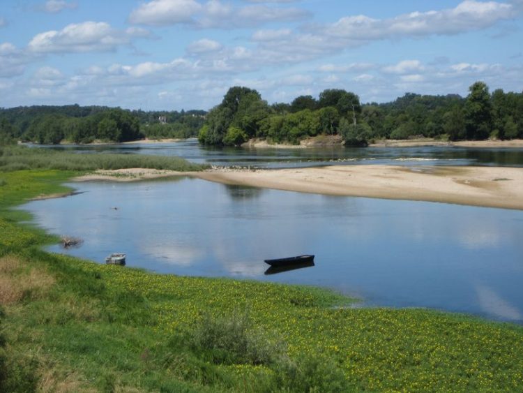 View at sandbank in the river Loire