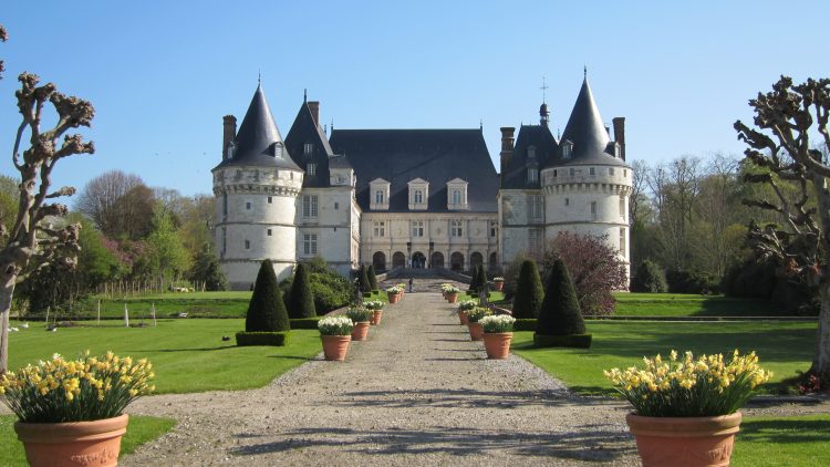 Blick auf ein Schloss an der Loire