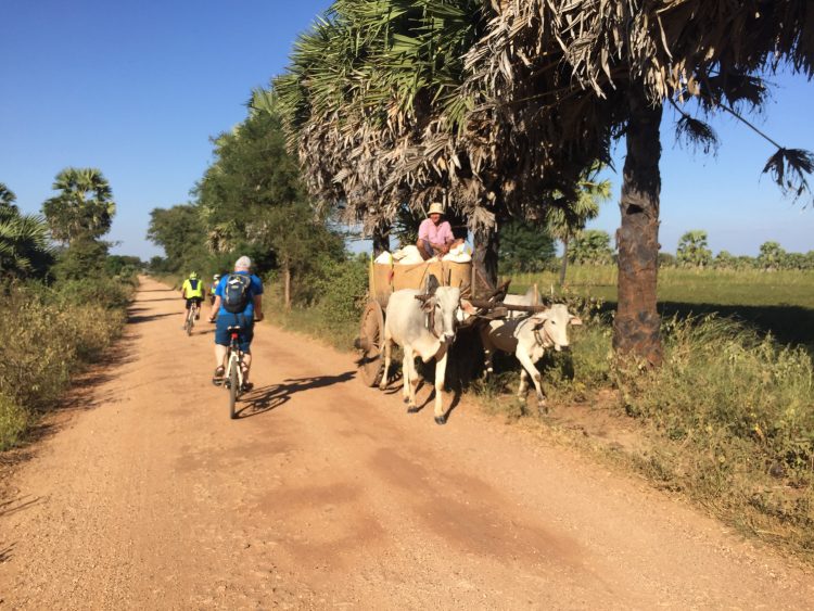 Cycle path in the nature of Myanmar