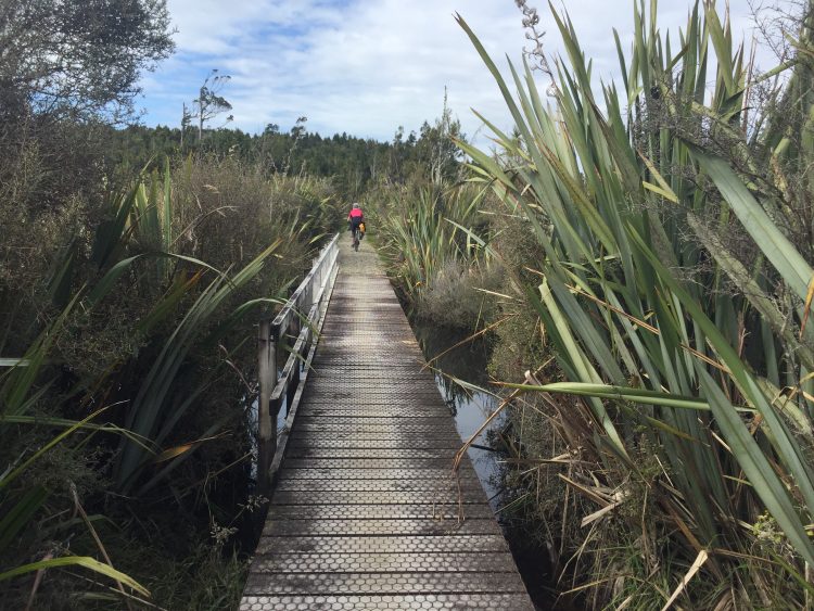 Cycle and hiking path in New Zealand