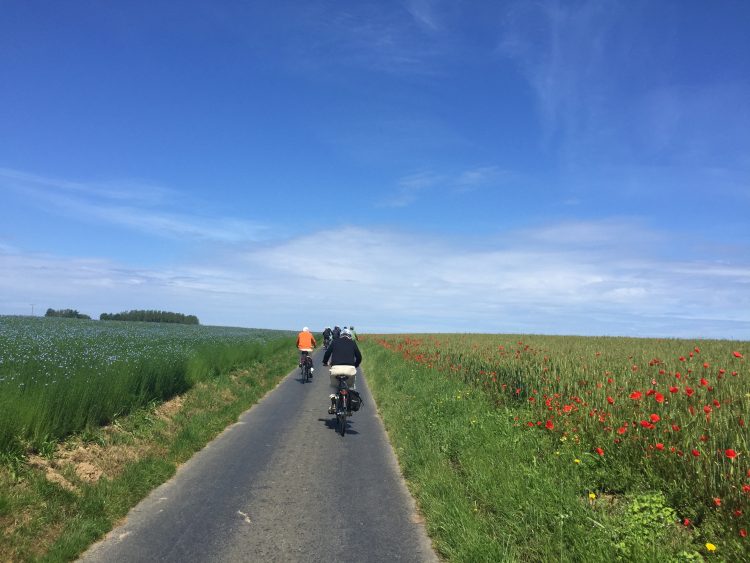 Cyclists in the Normandy