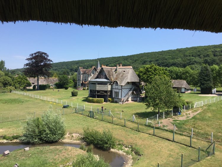 Blick in die Natur der Normandie