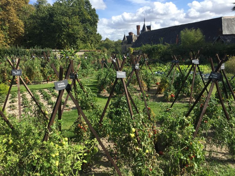 Blick in den Garten des Schloss Bourdasière