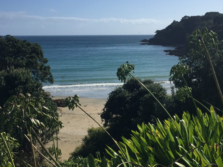 Beach in New Zealand