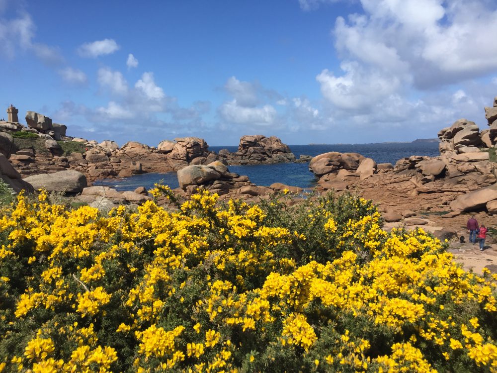 Blick auf Bucht von Perros Guirec