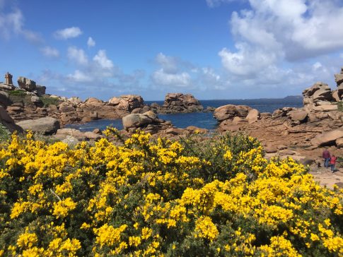 Blick auf Bucht von Perros Guirec