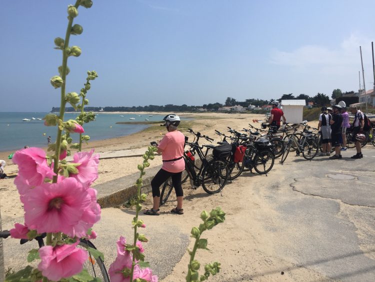 8 - Cycling break - Loire