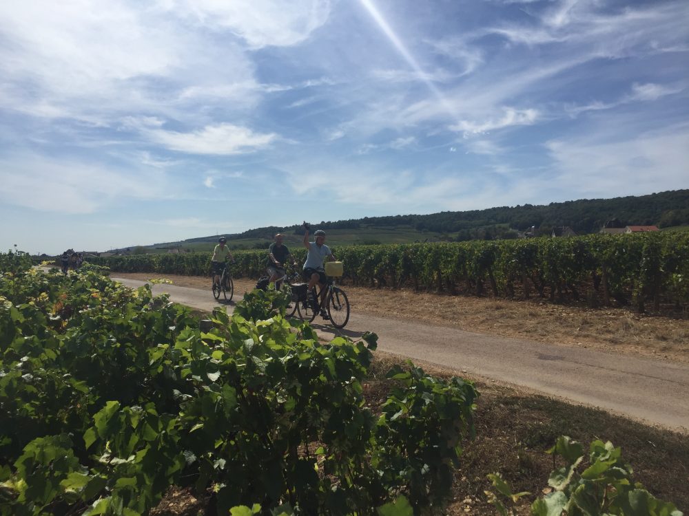 Durch die Weinberge des Südburgunds radeln